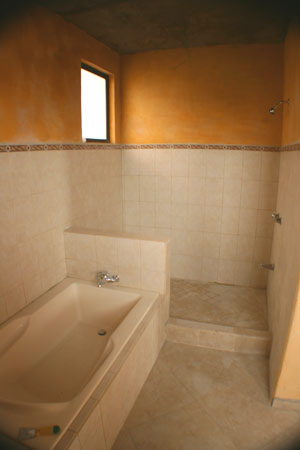 The bathroom tub and shower area. 